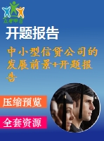 中小型信貸公司的發(fā)展前景+開(kāi)題報(bào)告