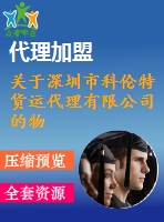 關(guān)于深圳市科倫特貨運(yùn)代理有限公司的物流服務(wù)方案設(shè)計