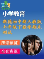 新德初中新人教版七年級下數學期末測試卷(4)
