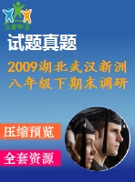 2009湖北武漢新洲八年級(jí)下期末調(diào)研考試試卷及答案