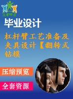 杠桿臂工藝準(zhǔn)備及夾具設(shè)計(jì)【翻轉(zhuǎn)式鉆模】【6張圖紙】【課設(shè)】